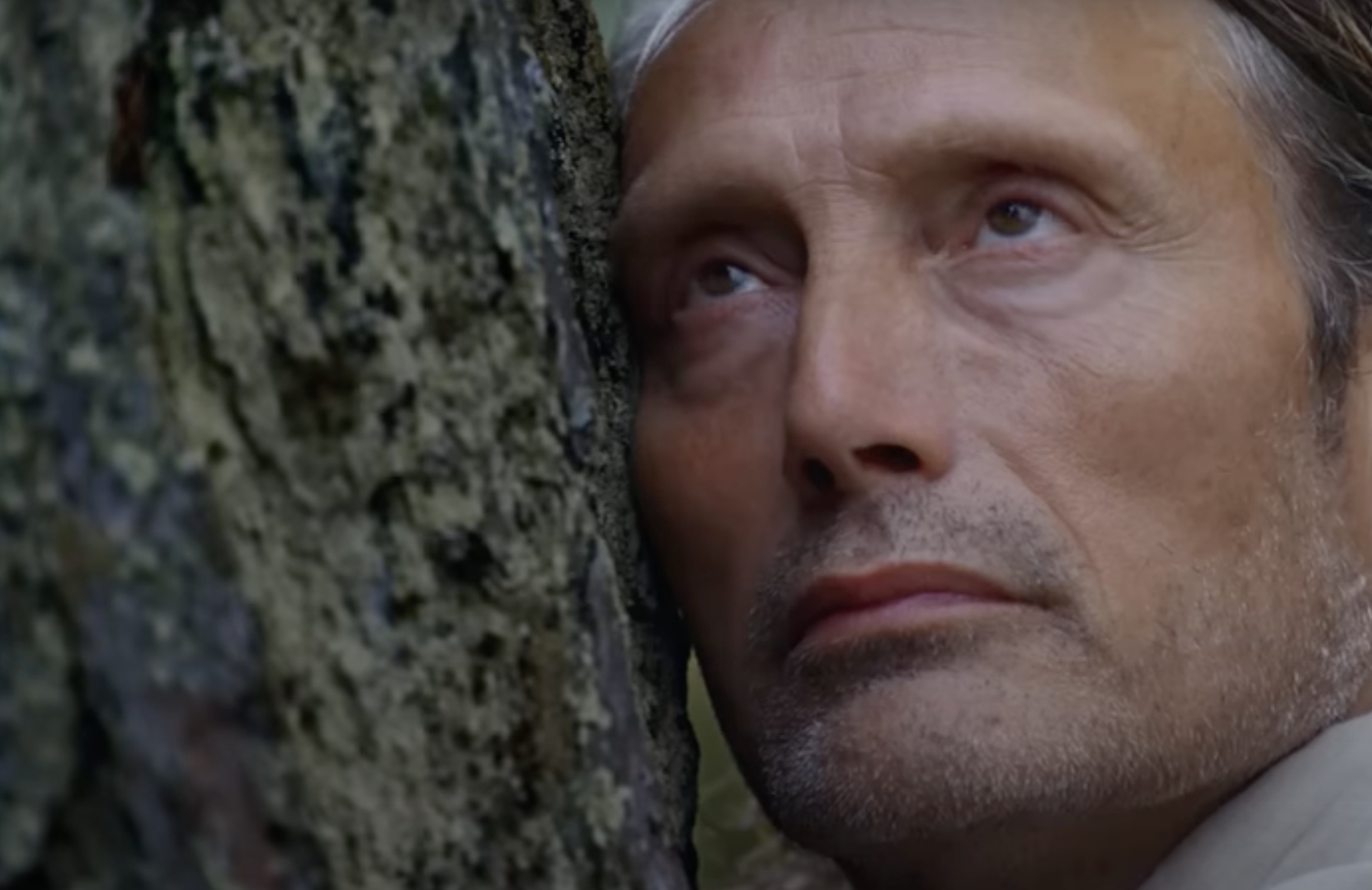 Switzerland Tourism aux couleurs de l'automne avec Mads Mikkelsen 