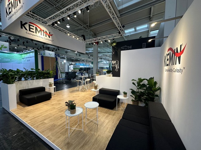 The Crew construit pour Kemin 