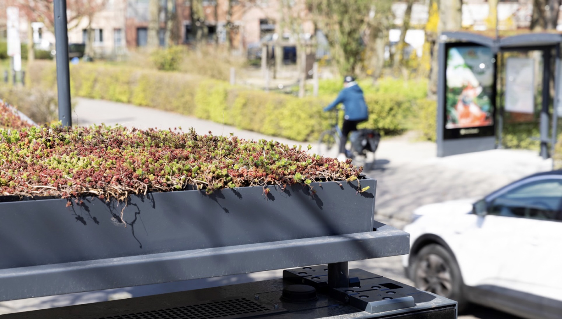 Clear Channel installeert bushokjes met groendaken in Kontich 